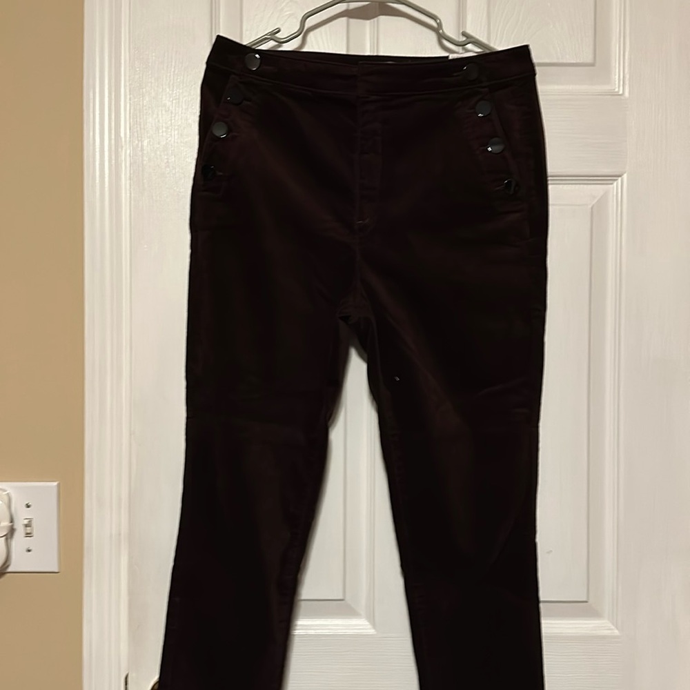 Women’s LOFT  dress pants Burgundy / wine color velvety material size 31/12
